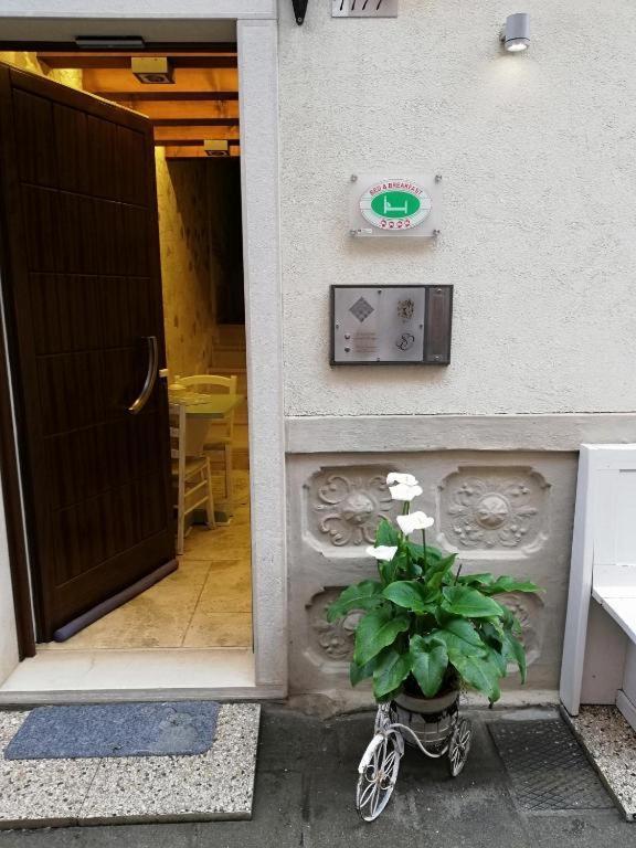 B & B San Domenico Chioggia Extérieur photo